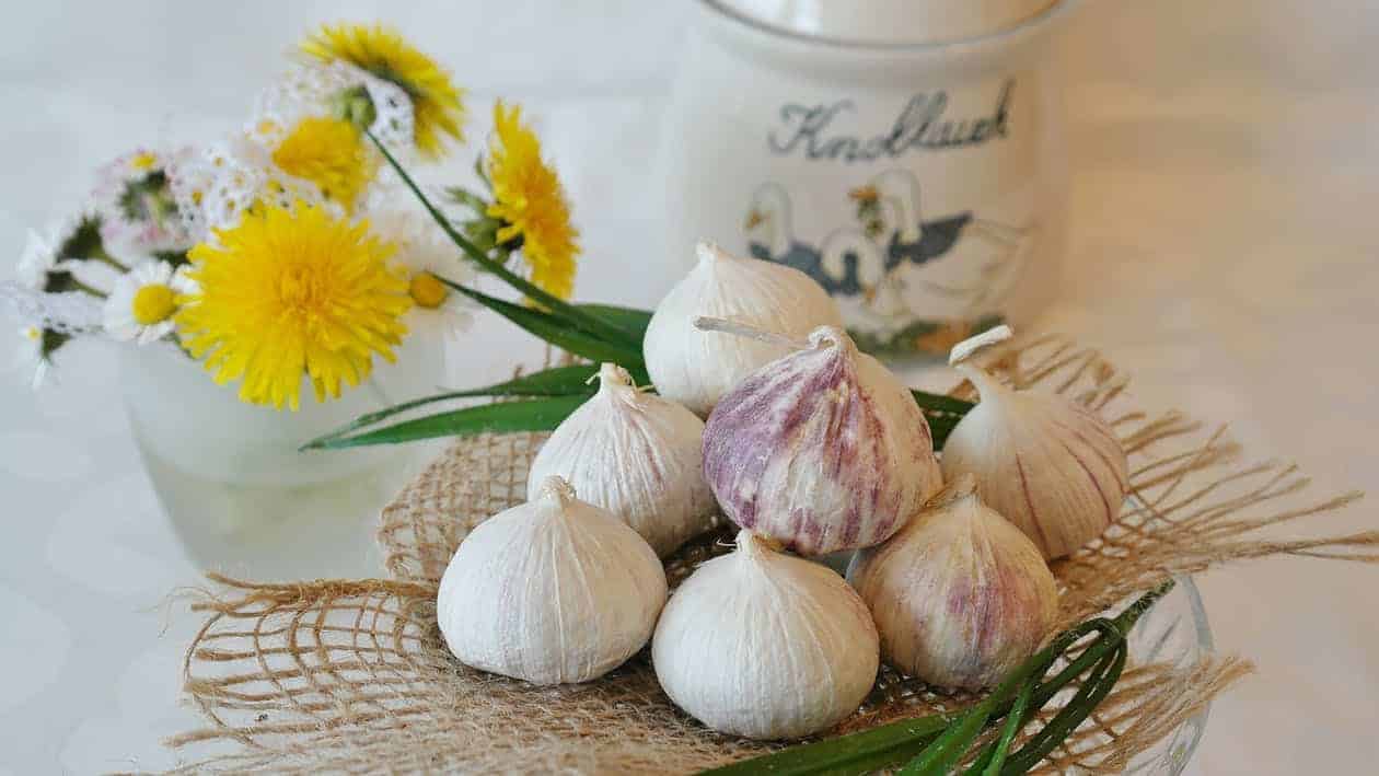 how to get rid of dandruff garlic