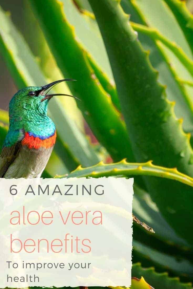 6 amazing aloe vera benefits to improve your health