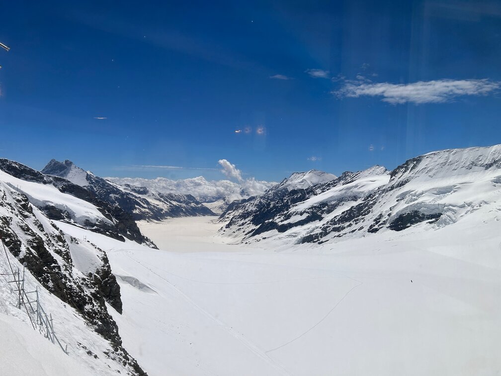 schillthorn