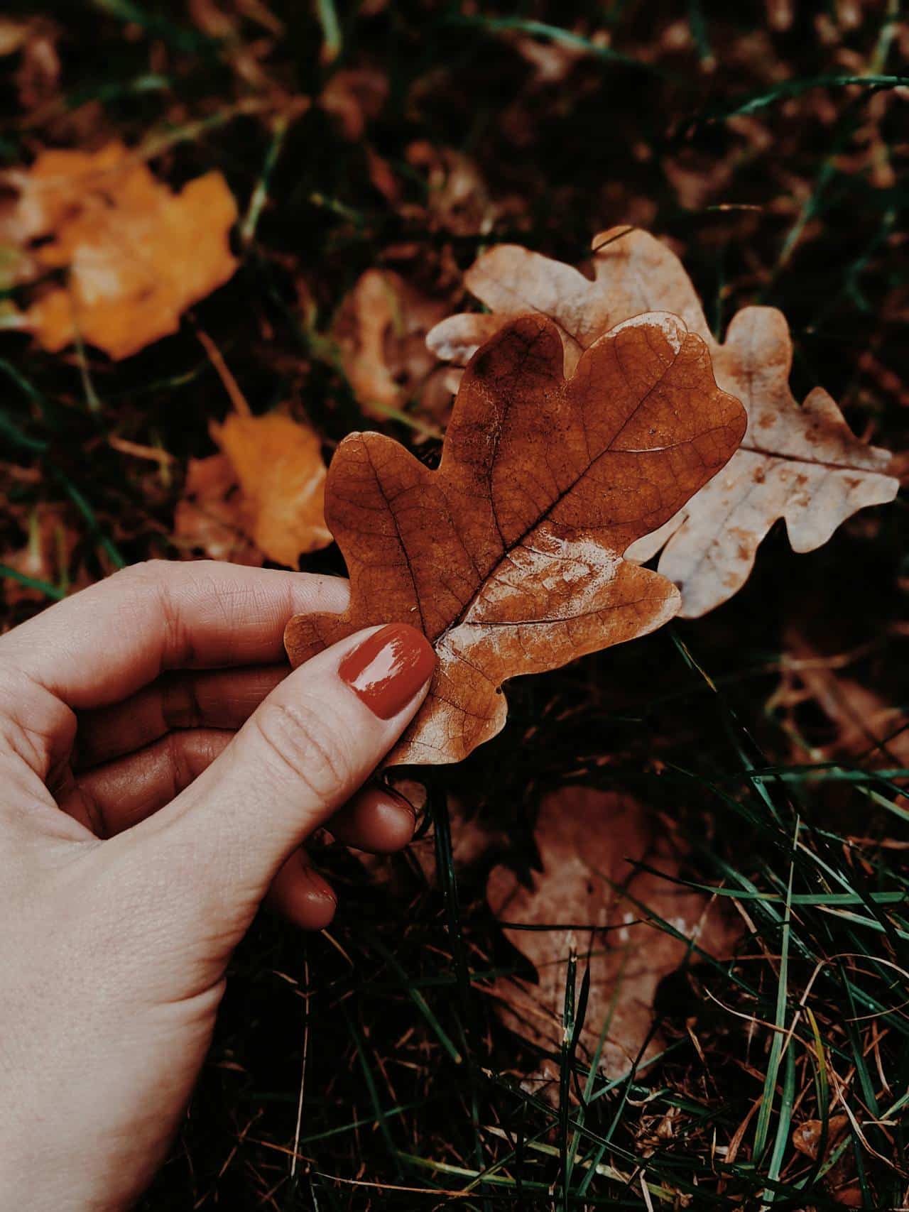autumn nails