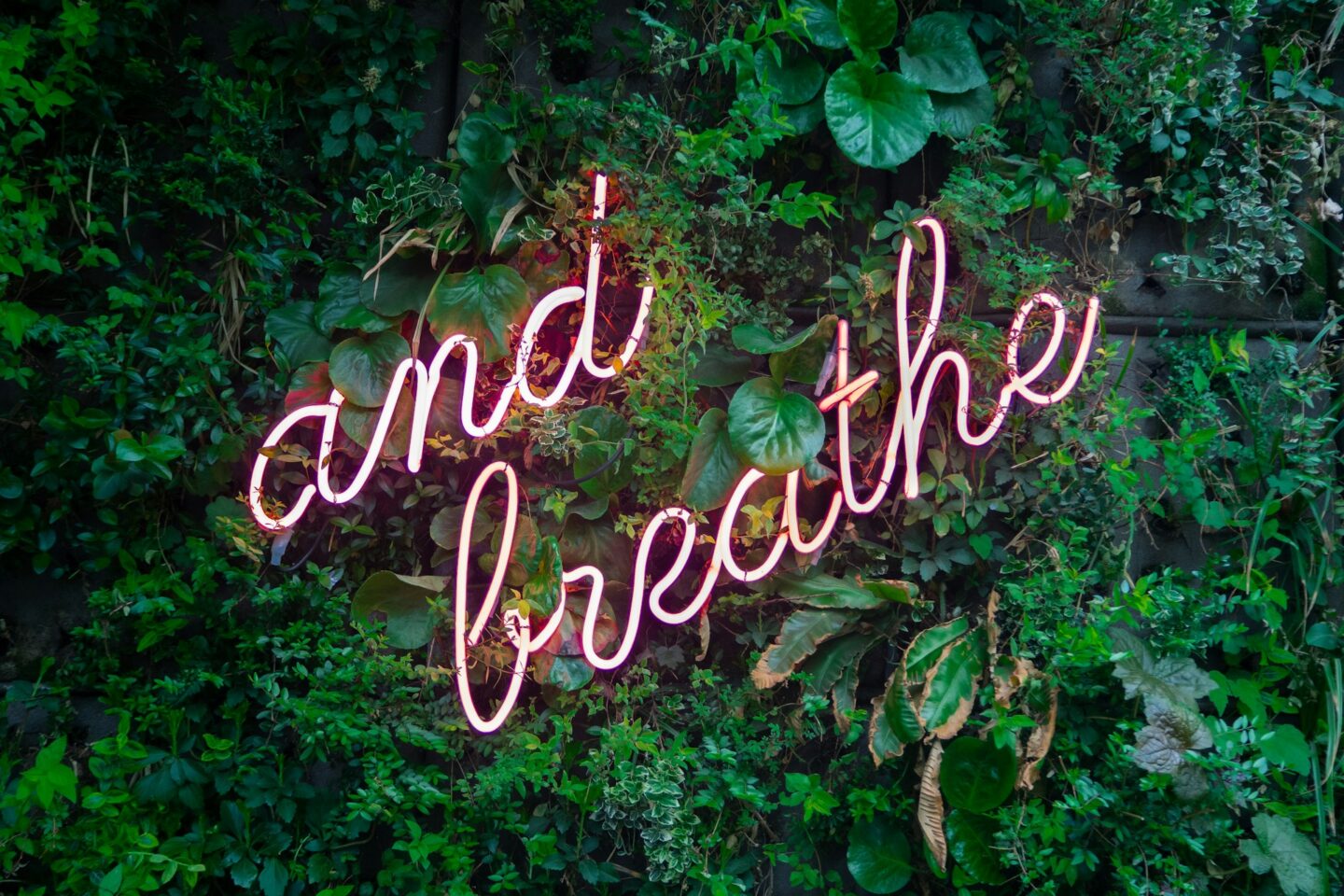 develop long term self care habits