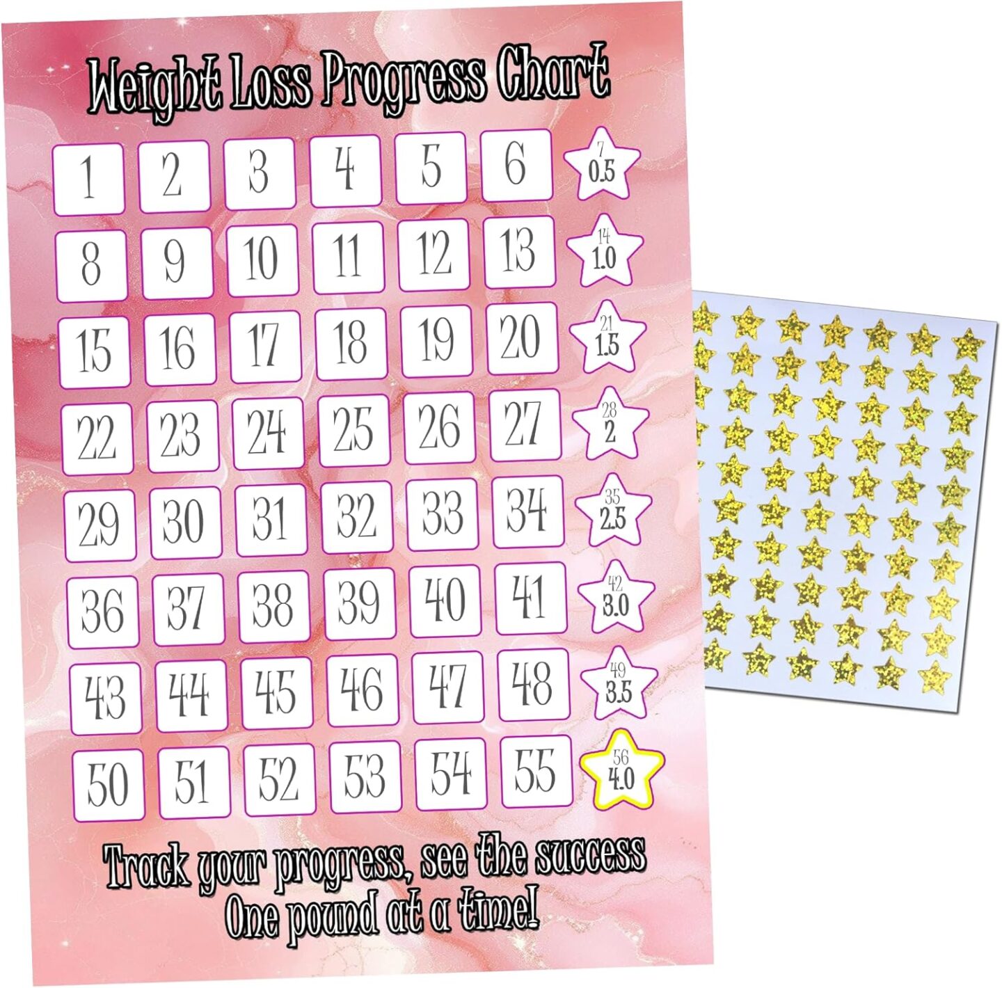 weight loss progress chart